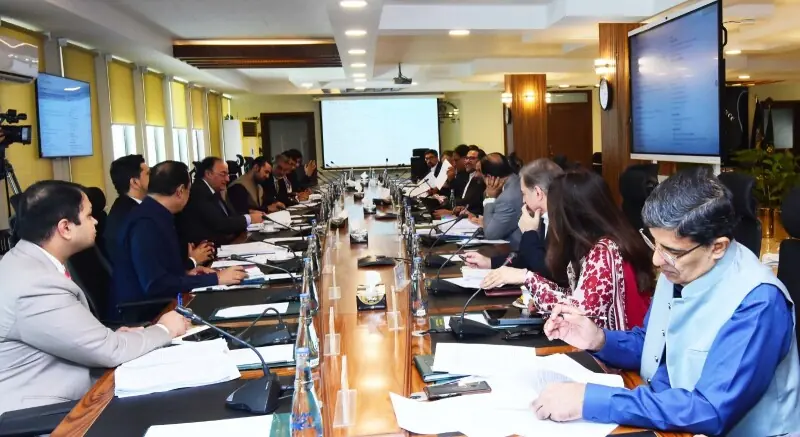 High-level body formed to classify petroleum SOEs as strategic or essential – Business & Finance