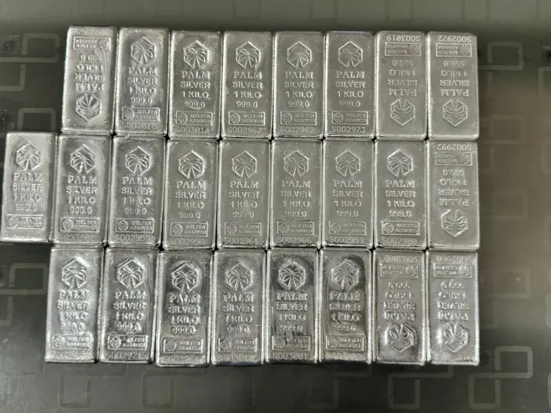 Pakistan Customs seizes millions in smuggled silver – Business & Finance