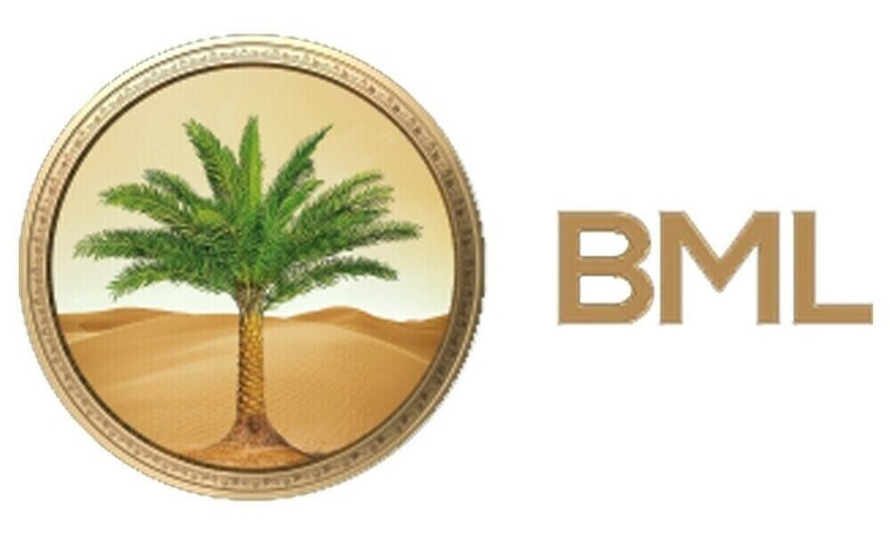 BML posts nine-month PBT of Rs1.75bn – Business & Finance