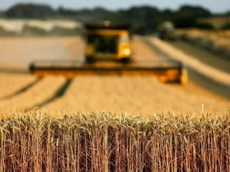 Gilgit-Baltistan could enhance agriculture produce by up to 30% via tech: study – Business & Finance