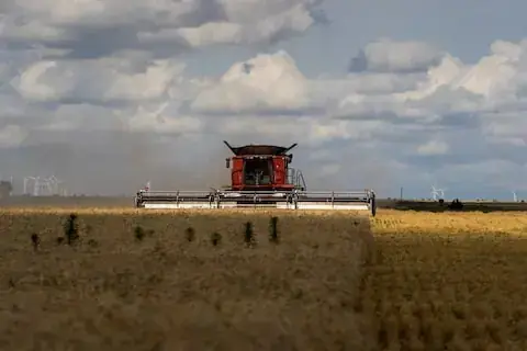 China begins limited purchases of US farm goods – World