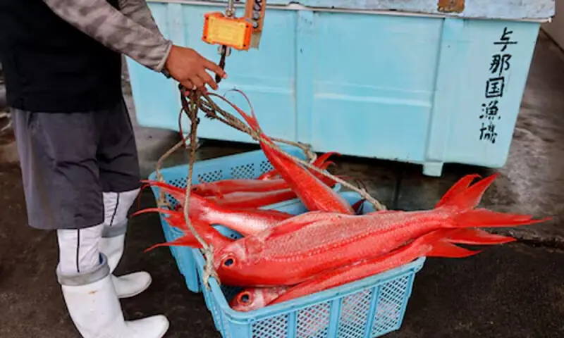 China to suspend imports of Japanese seafood amid diplomatic dispute, media reports – Markets