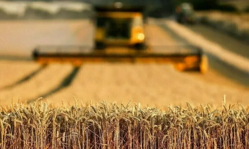 Agri-food exporters urge govt to scrap taxes, slash restrictions – Business & Finance