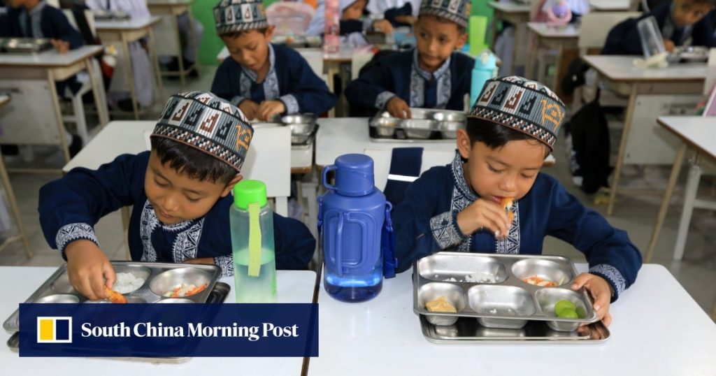 Indonesia’s free meals scheme battles fake labels on food trays, regulatory gaps