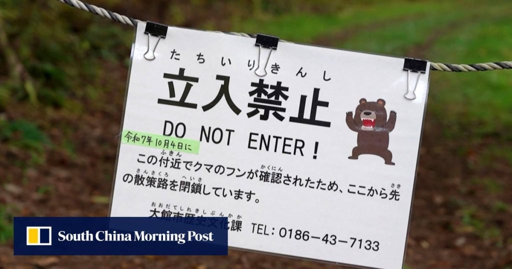 China warns citizens in Japan to watch out for wildlife amid surge in bear attacks