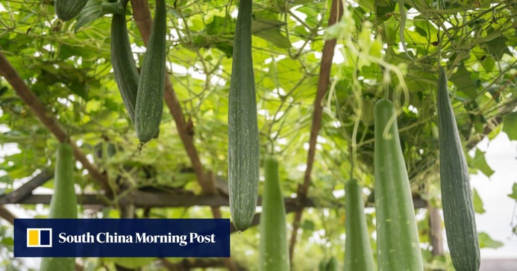 How Cleopatra’s bath loofah may help China’s jets vanish from radar