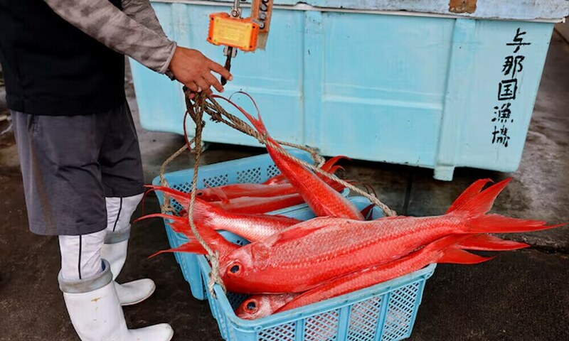 China to halt Japan seafood imports amid Taiwan spat – Business & Finance