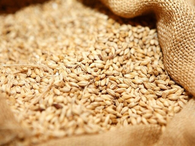 Use of certified wheat seed up by more than 2pc – Markets