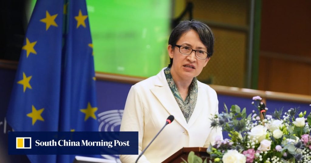 Taiwan’s No 2 leader Hsiao Bi-khim makes shock speech at European Parliament