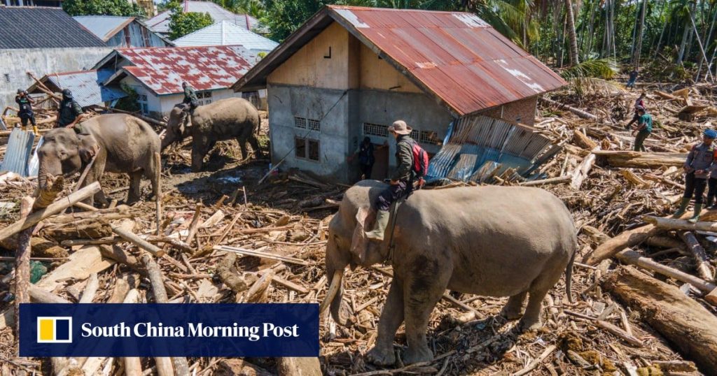 Indonesian elephants tasked to help in flood recovery spur conservation debate