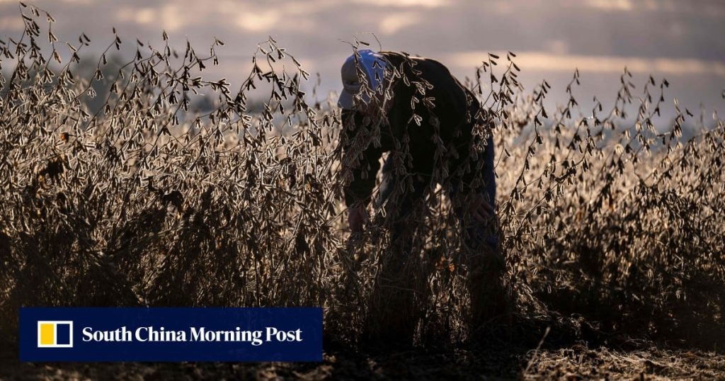 ‘A slap in the face’: not all US farmers happy with Trump’s $12 billion aid package