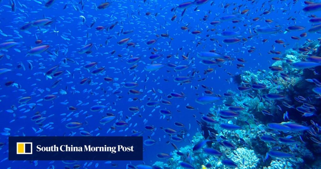 Senior Chinese diplomat takes swipe at US over deep-sea mining strategy