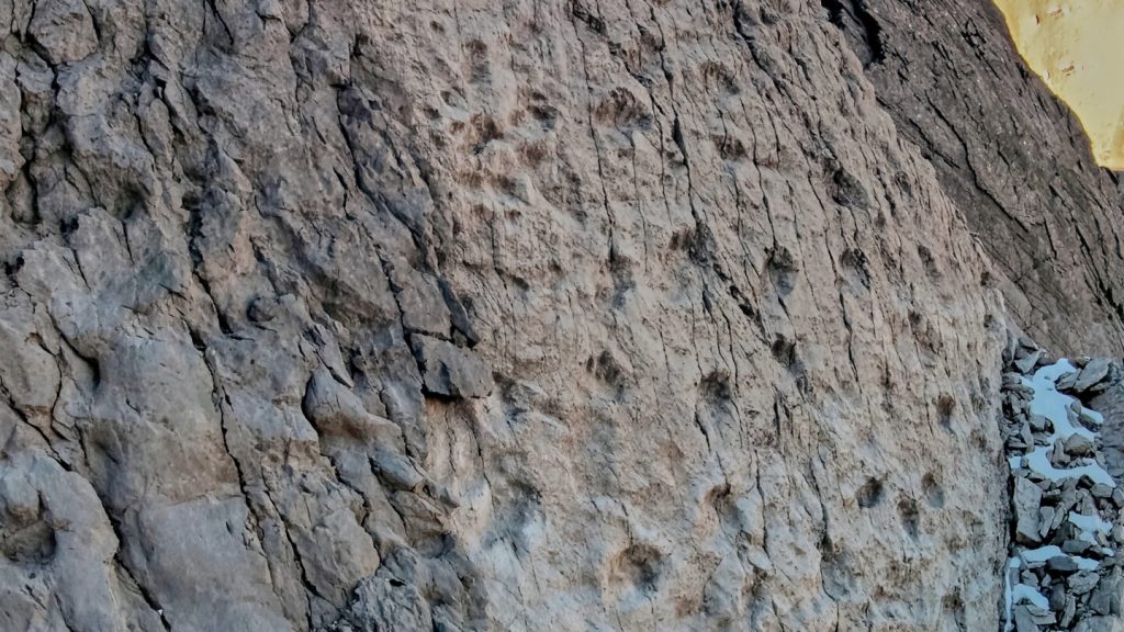 A photographer finds thousands of dinosaur footprints near Italian Olympic venue