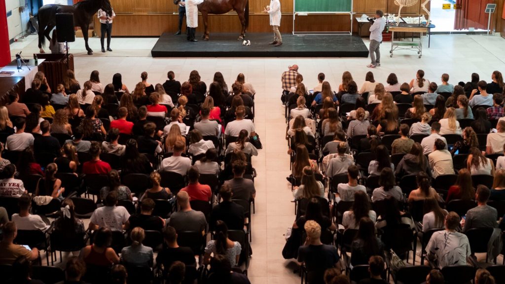 UK to rejoin EU’s student exchange program in a step toward closer ties after Brexit