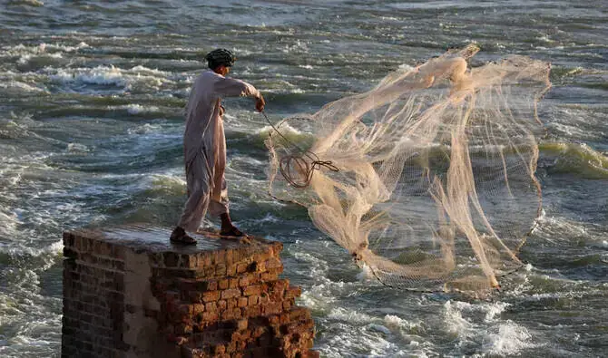 Minister admits power costs, shortages are undermining Pakistan’s fisheries exports – Business & Finance